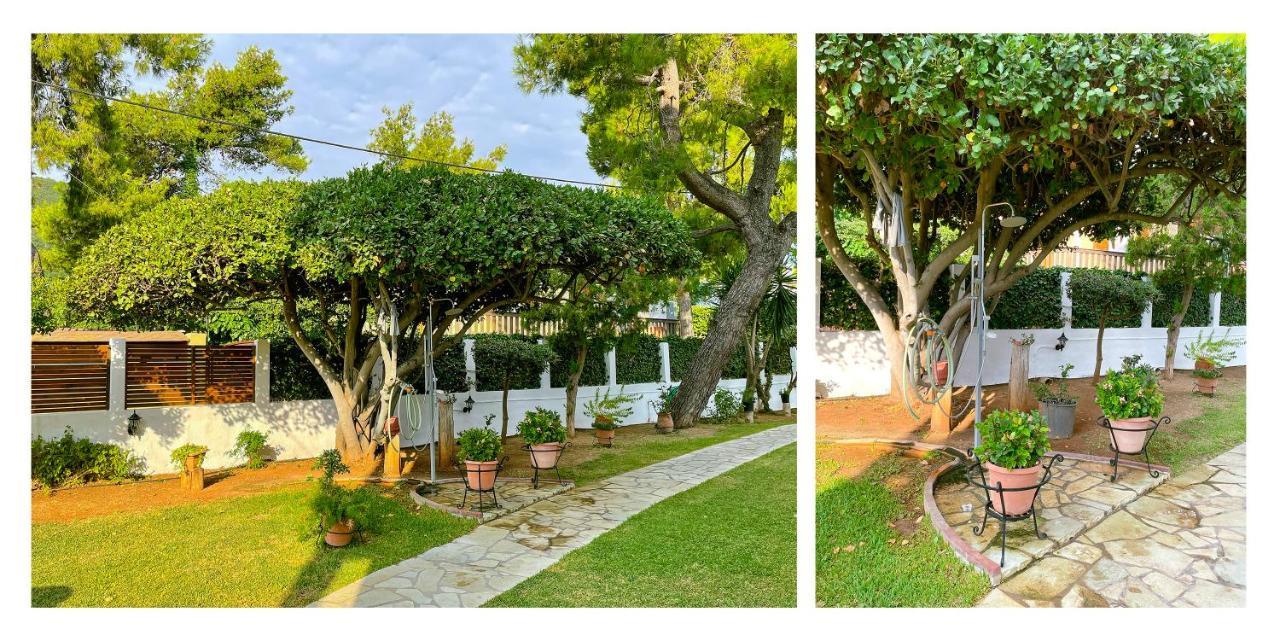 圣爱奥尼斯米科Malakassis House公寓 外观 照片